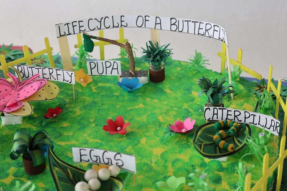 Model Exhibition at ANTS Montessori, photo 12