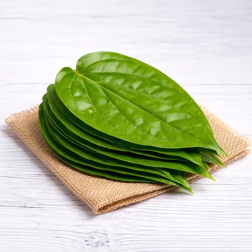Betel Leaf