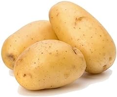 Fresh Vegetables