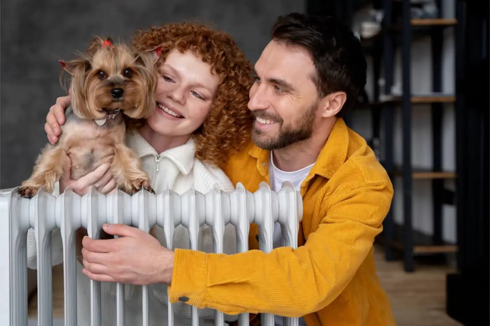 7 Grooming Habits Every Pet Parent Should Follow