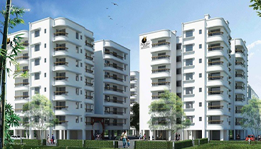 Affordable Urban House